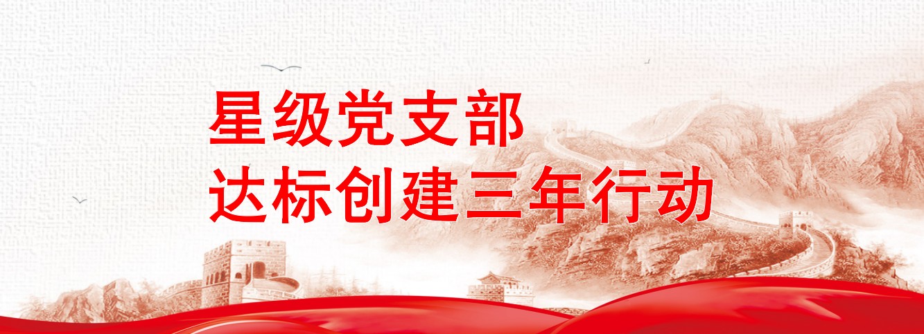 星級黨支部達(dá)標(biāo)創(chuàng)建三年行動(dòng) 星級黨支部達(dá)標(biāo)創(chuàng)建三年行動(dòng)